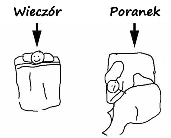 Wieczór vs. Poranek