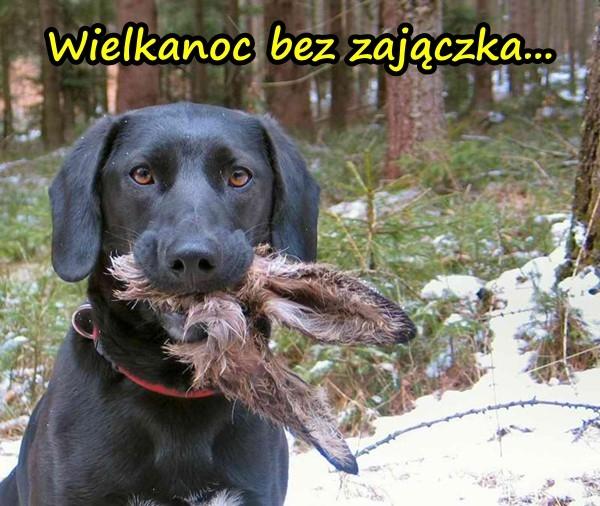 Wielkanoc bez zajączka