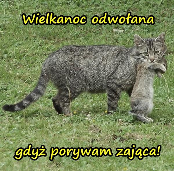 Wielkanoc odwołana gdyż porywam zająca