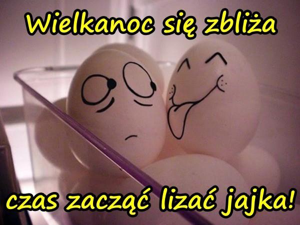 Wielkanoc się zbliża czas zacząć lizać jajka