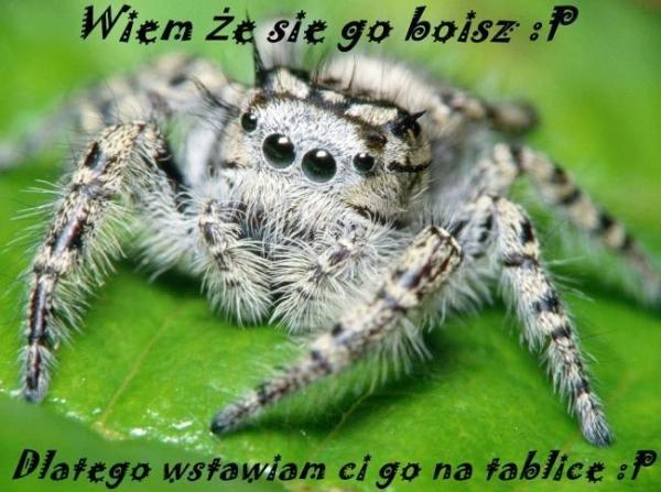 Wiem, że się go boisz. Dlatego wstawiam Ci go na tablicę