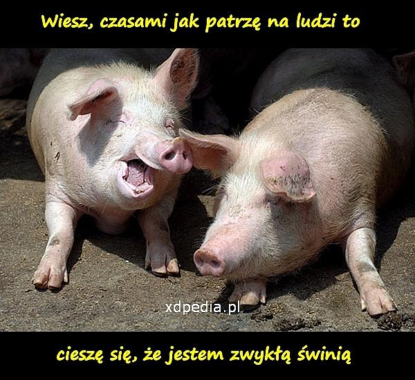 Wiesz, czasami jak patrzę na ludzi to cieszę się, że jestem