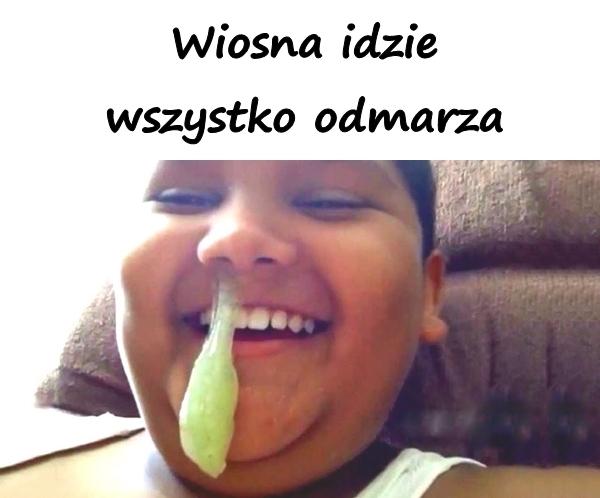 Wiosna idzie, wszystko odmarza