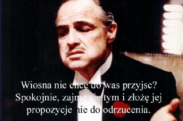 Wiosna nie che do was przyjść? Spokojnie zajmę się tym i