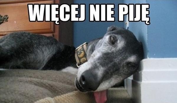 Więcej nie piję