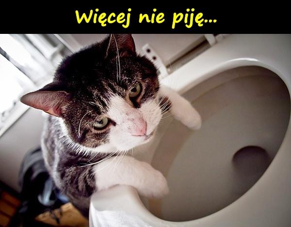 Więcej nie piję