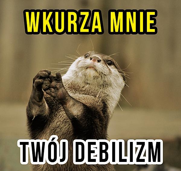 Wkurza mnie Twój debilizm