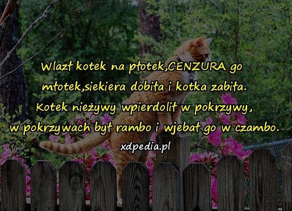 Wlazł kotek na płotek,CENZURA go młotek,siekiera dobiła i