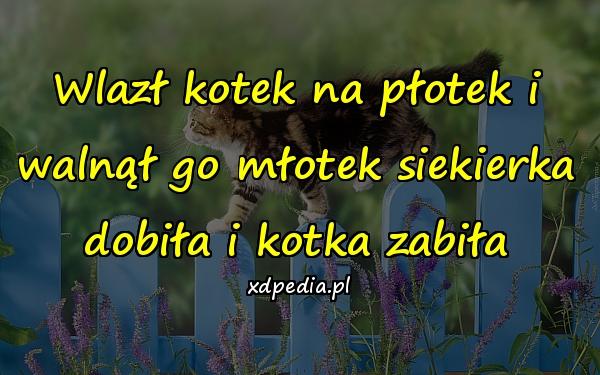 Wlazł kotek na płotek i walnął go młotek siekierka dobiła i