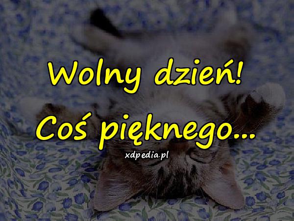 Wolny dzień! Coś pięknego