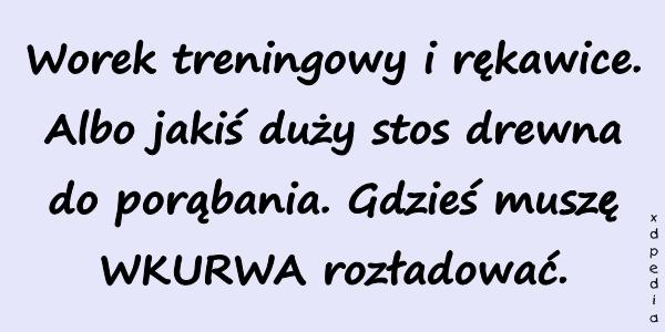 Worek treningowy i rękawice. Albo jakiś duży stos drewna do