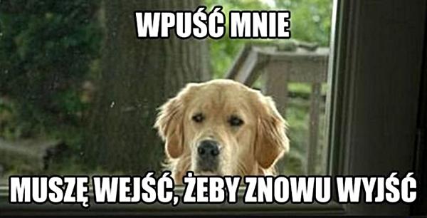 Wpuść mnie. Muszę wejść, żeby znowu wyjść