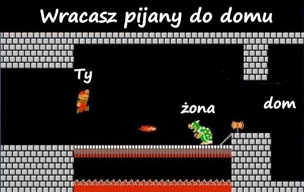 Wracasz pijany do domu