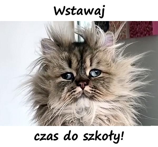 Wstawaj czas do szkoły