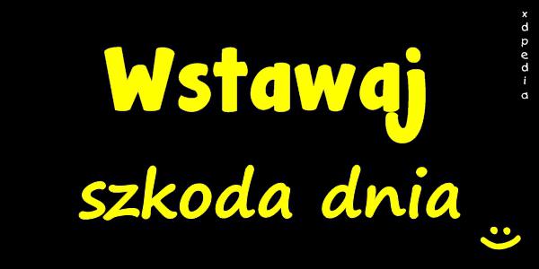 Wstawaj - szkoda dnia