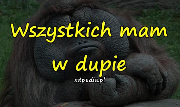 Wszystkich mam w dupie