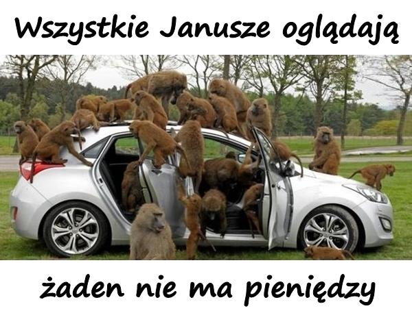 Wszystkie Janusze oglądają, żaden nie ma pieniędzy