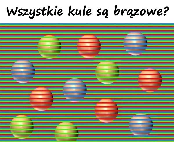 Wszystkie kule są brązowe