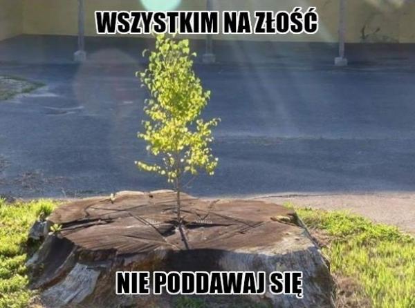 Wszystkim n złość nie poddawaj się