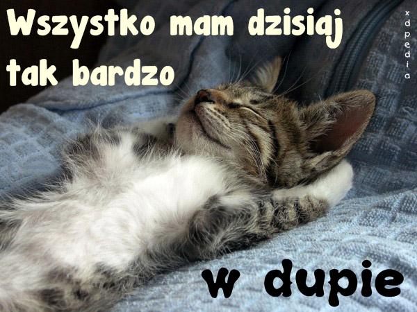 Wszystko mam dzisiaj tak bardzo w dupie