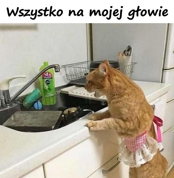 Wszystko na mojej głowie