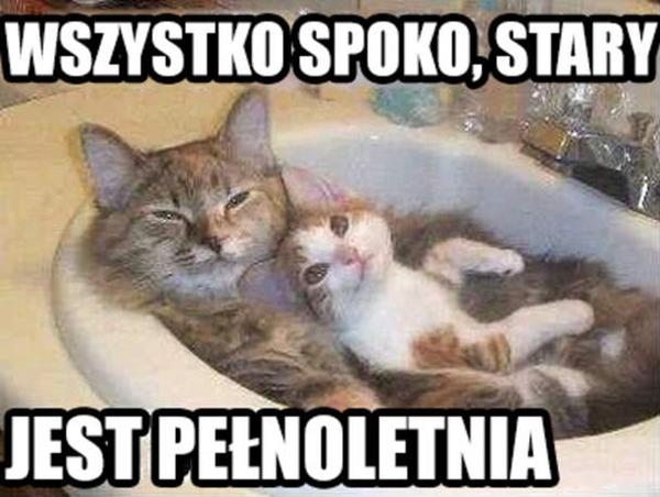 Wszystko spoko stary, jest pełnoletnia