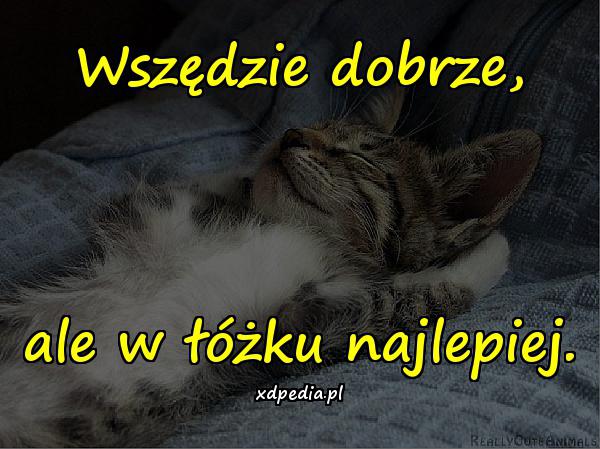 Wszędzie dobrze, ale w łóżku najlepiej