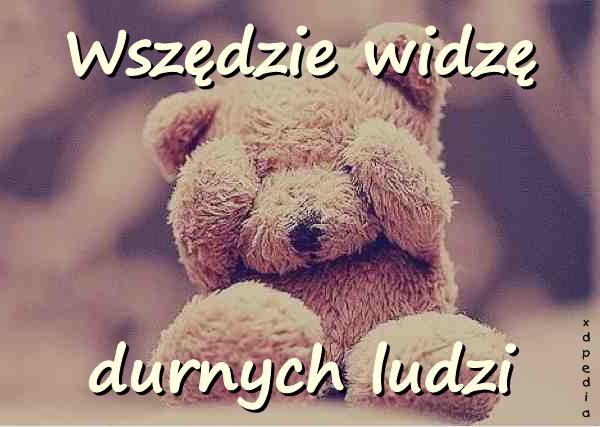 Wszędzie widzę durnych ludzi