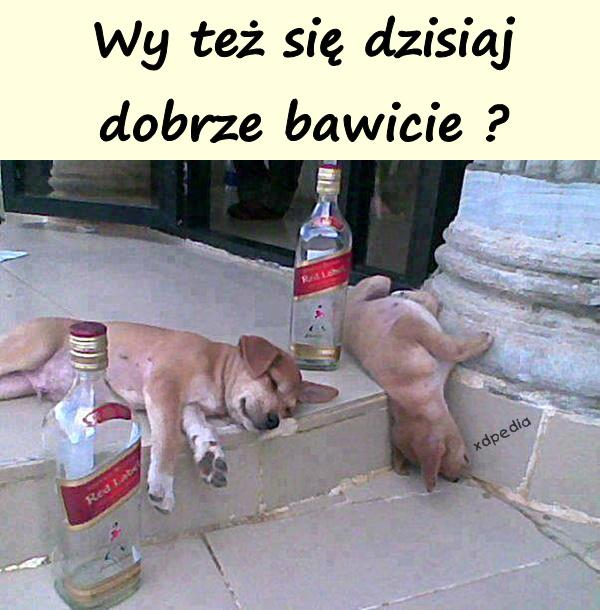 Wy też się dzisiaj dobrze bawicie