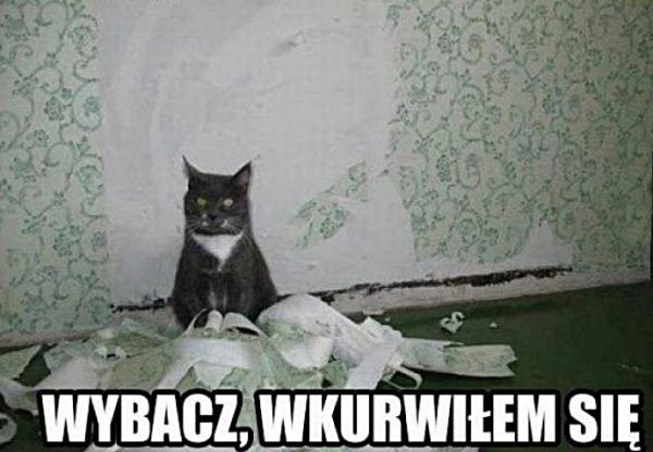 Wybacz, wkurrwiłęm się