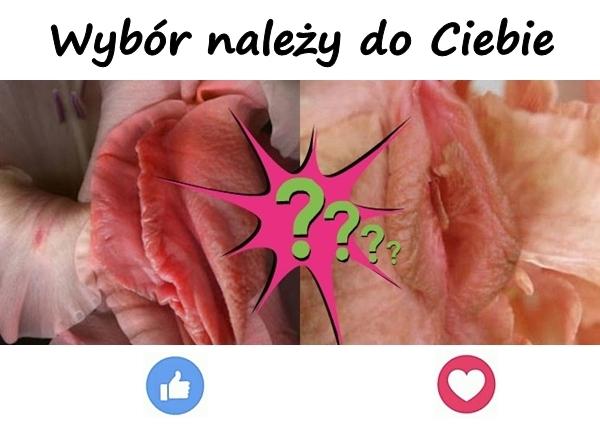 Wybór należy do Ciebie