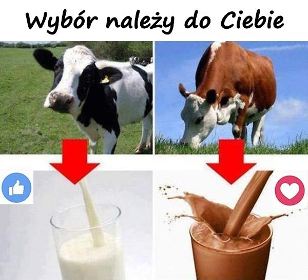 Wybór należy do Ciebie