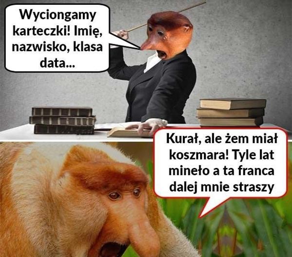 Wyciongamy karteczki! Imię, nazwisko, klasa, data... Kurła