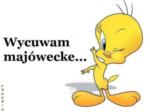 Wycuwam majówecke