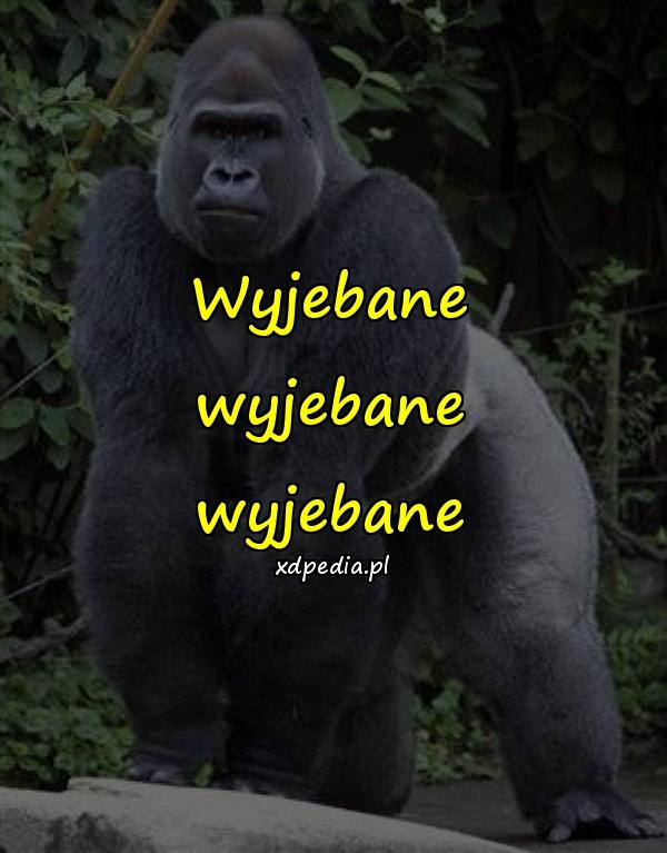 Wyjebane wyjebane wyjebane