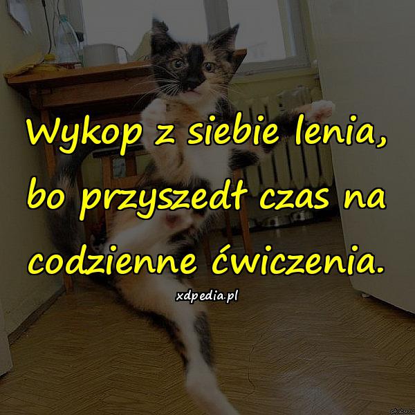 Wykop z siebie lenia, bo przyszedł czas na codzienne