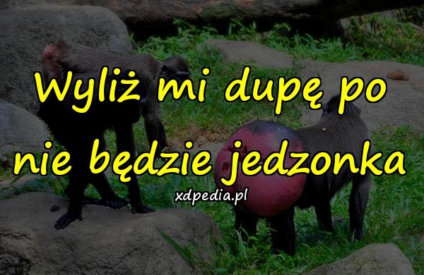 Wyliż mi dupę po nie będzie jedzonka