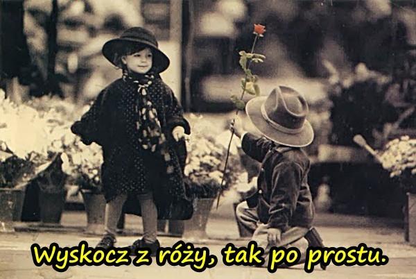 Wyskocz z róży, tak po prostu