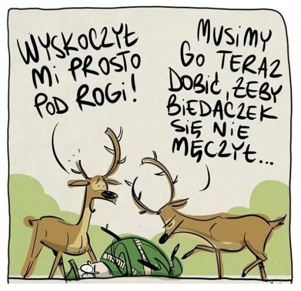 Wyskoczył mi prosto pod nogi. Musimy go tera dobić, żeby