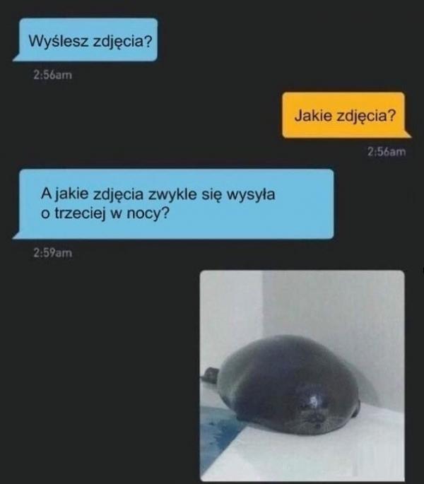 - Wyślesz zdjęcia? - Jakie zdjęcia? - A jakie zdjęcia