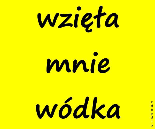 Wzięła mnie wódka