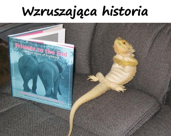 Wzruszająca historia