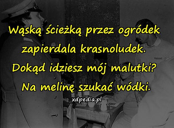 Wąską ścieżką przez ogródek \nzapierdala krasnoludek