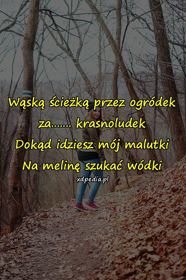Wąską ścieżką przez ogródek za....... krasnoludek Dokąd