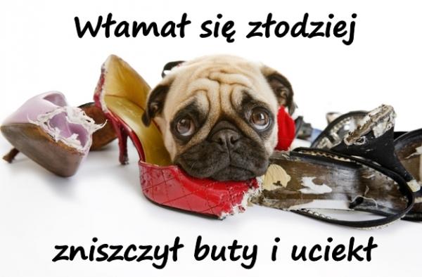 Włamał się złodziej, zniszczył buty i uciekł