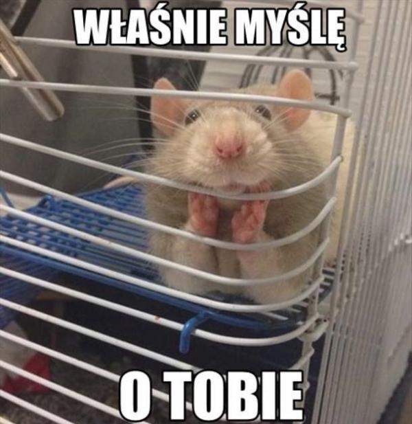 Właśnie myślę o Tobie