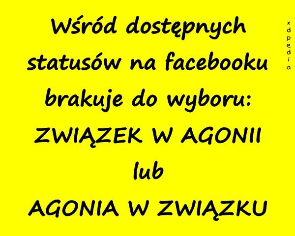 Wśród dostępnych statusów na facebooku brakuje do wyboru