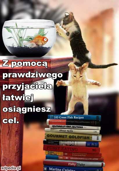 Z pomocą prawdziwego przyjaciela łatwiej osiągniesz cel