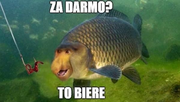 Za darmo? To biere