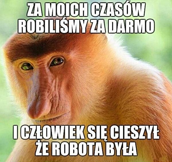 Za moich czasów robiliśmy za darmo i człowiek się cieszył